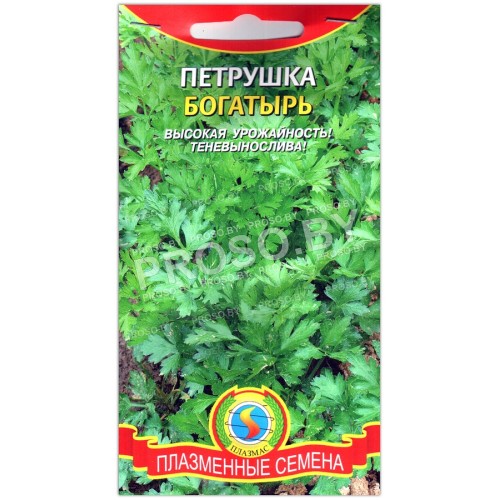 Петрушка Богатырь