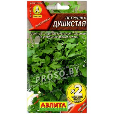 Петрушка Душистая