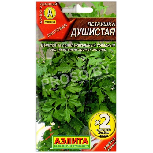 Петрушка Душистая-1