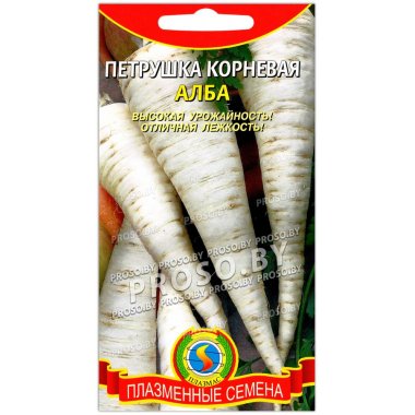 Петрушка корневая Алба
