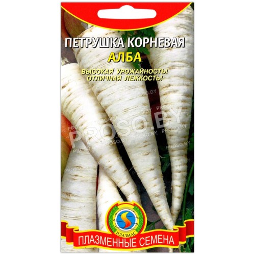 Петрушка корневая Алба