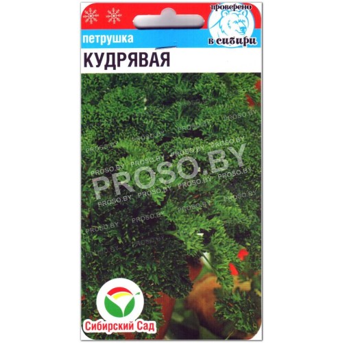 Петрушка Кудрявая