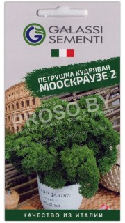 Петрушка кудрявая Мооскраузе 2