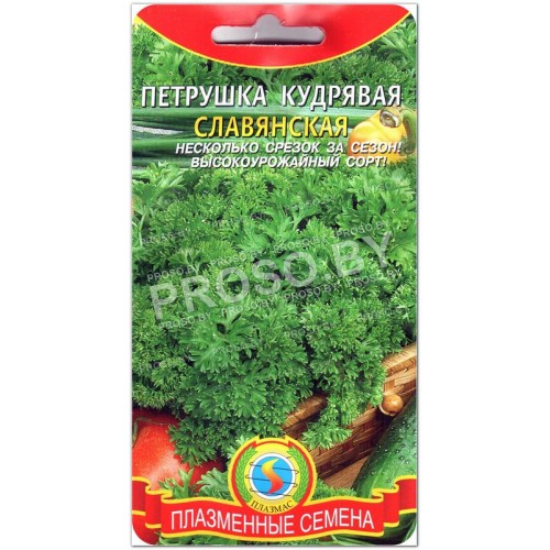 Петрушка кудрявая Славянская