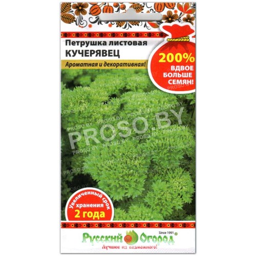 Петрушка листовая Кучерявец