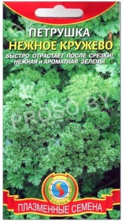 Петрушка Нежное кружево