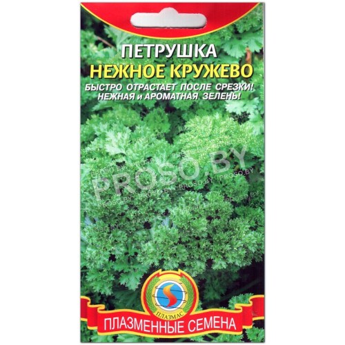 Петрушка Нежное кружево