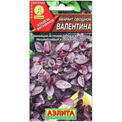 Амарант овощной Валентина