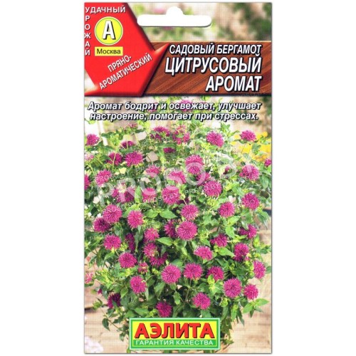 Бергамот садовый Цитрусовый аромат