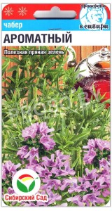 Чабер огородный Ароматный