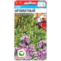 Чабер огородный Ароматный