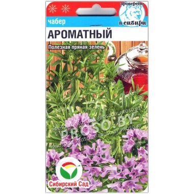 Чабер огородный Ароматный