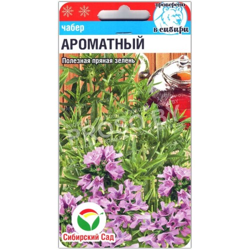 Чабер огородный Ароматный