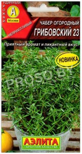 Чабер огородный Грибовский 23