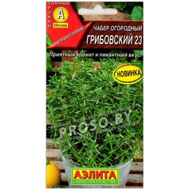 Чабер огородный Грибовский 23