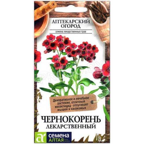 Чернокорень Лекарственный