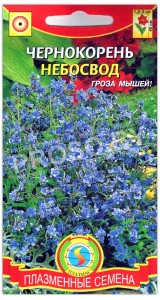 Чернокорень Небосвод