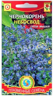 Чернокорень Небосвод