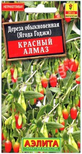Дереза обыкновенная (ягода годжи) Красный алмаз