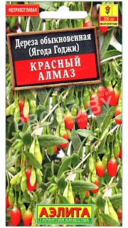Дереза обыкновенная (ягода годжи) Красный алмаз