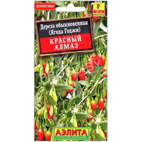Дереза обыкновенная (ягода годжи) Красный алмаз