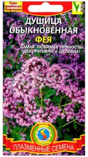Душица обыкновенная Фея