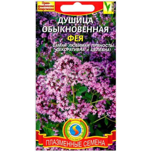 Душица обыкновенная Фея