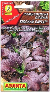 Горчица салатная Красный бархат