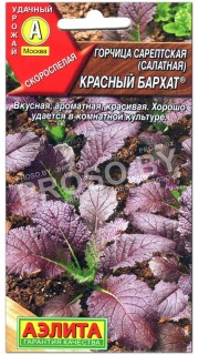 Горчица салатная Красный бархат