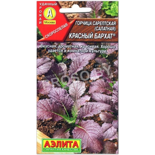 Горчица салатная Красный бархат