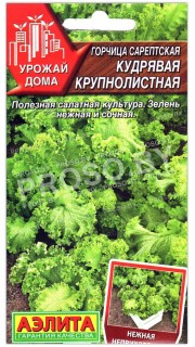 Горчица сарептская Кудрявая крупнолистная