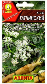 Хрен Гатчинский