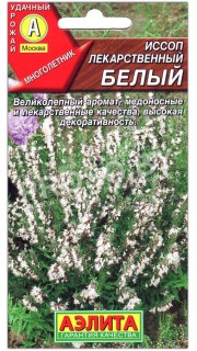 Иссоп лекарственный Белый