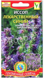 Иссоп Лекарственный синий