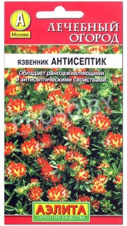 Язвенник Антисептик