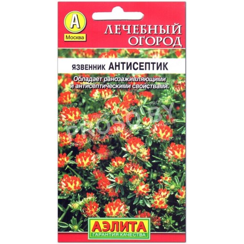 Язвенник Антисептик