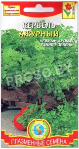 Кервель Ажурный