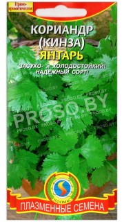 Кориандр (кинза) Янтарь