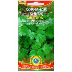 Кориандр (кинза) Янтарь
