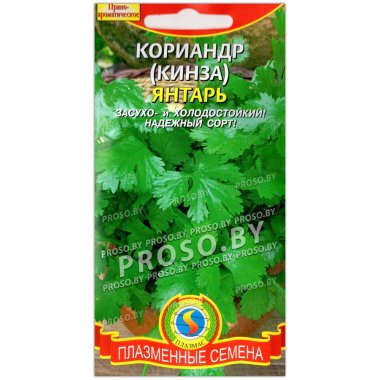 Кориандр (кинза) Янтарь