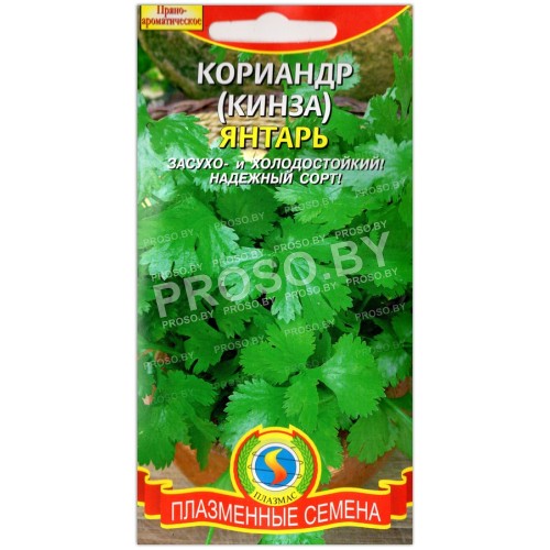 Кориандр (кинза) Янтарь