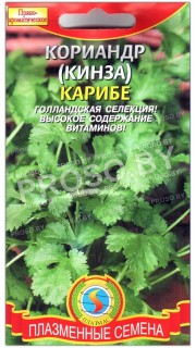 Кориандр (кинза) Карибе