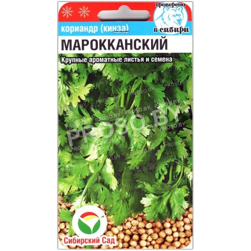 Кориандр (кинза) Марокканский