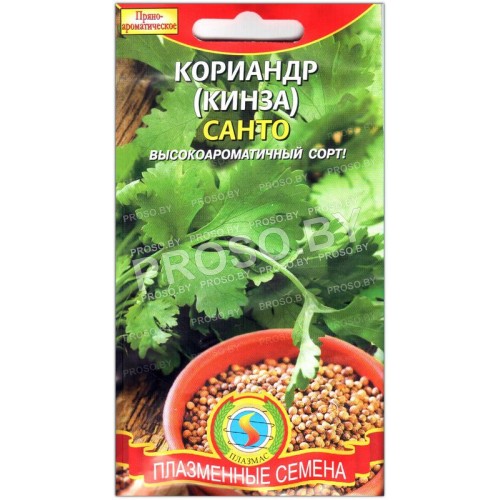 Кориандр (кинза) Санто-1