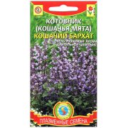 Котовник Кошачий бархат