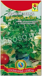 Кровохлебка Вкусный салат