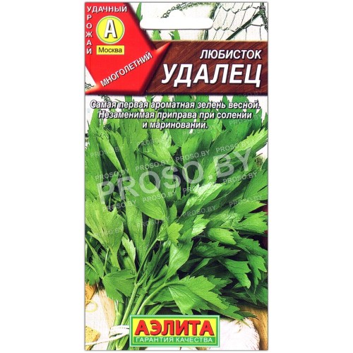 Любисток Удалец-1
