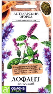 Лофант Анисовый