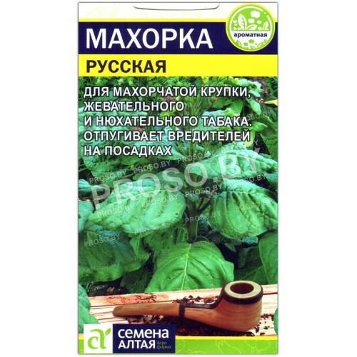 Махорка Русская-1