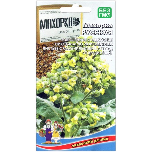 Махорка Русская-2